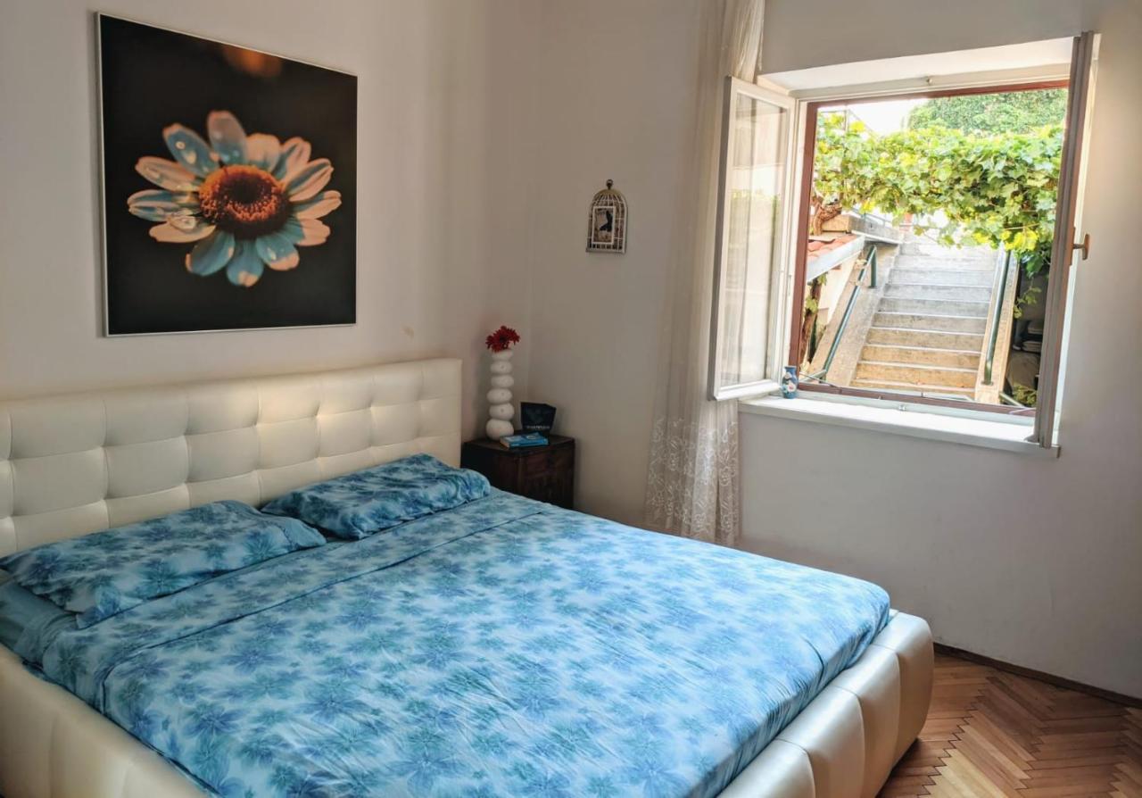 Glorianita Sweethome,Centro, Free Parking,Self Check- In Šibenik Extérieur photo
